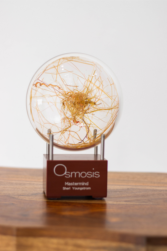 Osmosis Mastermind Award Interview